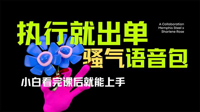 爆火全网的开车导航骚气语音包,只要执行就出单，小白看完课程就能实操…-财源创业网