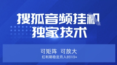 【搜狐音频挂G】独家技术，可矩阵可放大，红利期稳定月入8k【揭秘】-财源创业网