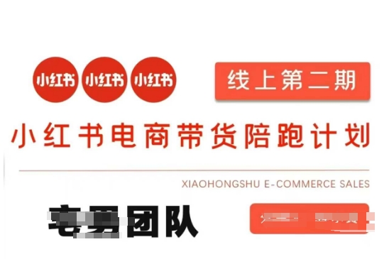 小红书电商带货课2期，月利润20个的小红书电商的有货源，无货源，虚拟产品，付费投流等整套玩法-财源创业网