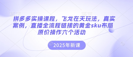 拼多多实操课程，飞龙在天玩法，真实案例，直播全流程链接的黄金sku布局原价操作六个活动-财源创业网
