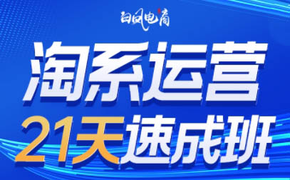 白凤电商·淘系运营21天速成班(更新3月)-财源创业网
