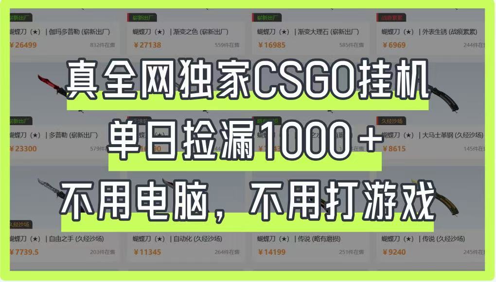 真全网独家CSGO挂机，单日捡漏1000+，不用电脑，不用养号-财源创业网