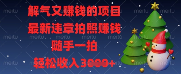 解气又挣钱的项目，最新违章拍照挣钱，随手一拍，轻松收入数张【揭秘】-财源创业网