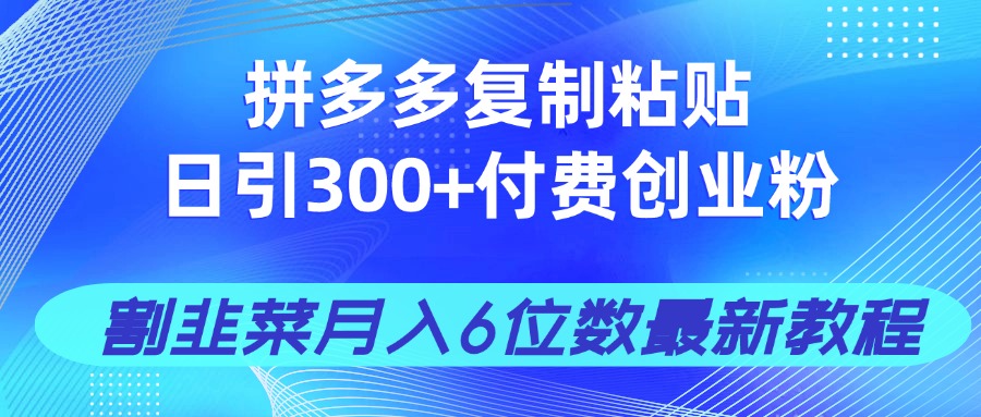 拼多多复制粘贴日引300+付费创业粉，割韭菜月入6位数最新教程！-财源创业网