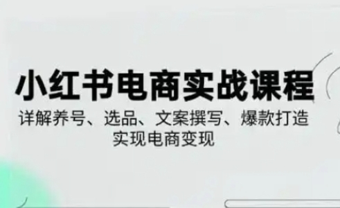 小红书从0-1实操课(2023-2025)，详解养号、选品、文案撰写、爆款打造实现电商变现-财源创业网