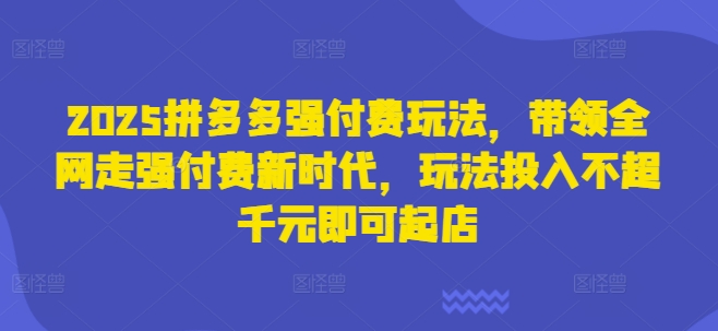 2025拼多多强付费玩法，带领全网走强付费新时代，玩法投入不超千元即可起店-财源创业网