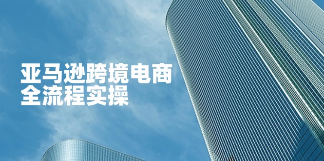 亚马逊跨境电商全流程实操，教你从零开始，掌握店铺运营与广告技巧-财源创业网