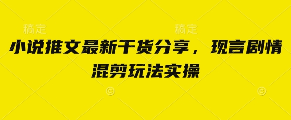 小说推文最新干货分享，现言剧情混剪玩法实操-财源创业网