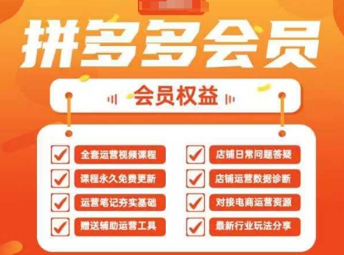 2025拼多多运营实战课，40节全流程教学，覆盖拼多多运营全链路-财源创业网