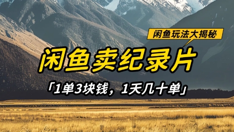闲鱼卖纪录片1单3块钱，1天几十单，项目稳定有潜力-财源创业网