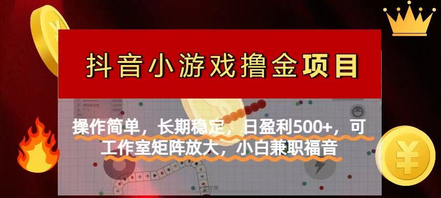 【抖音小游戏发行人计划项目】操作简单，长期稳定，日盈利500+，可工作…-财源创业网