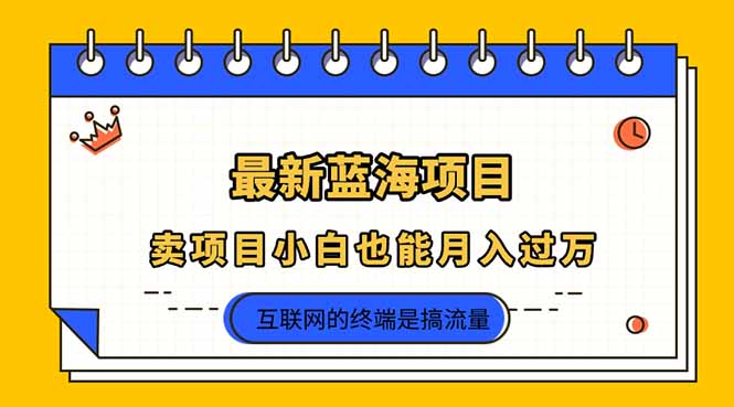 2025年最新蓝海项目，卖项目小白也能月入过万-财源创业网
