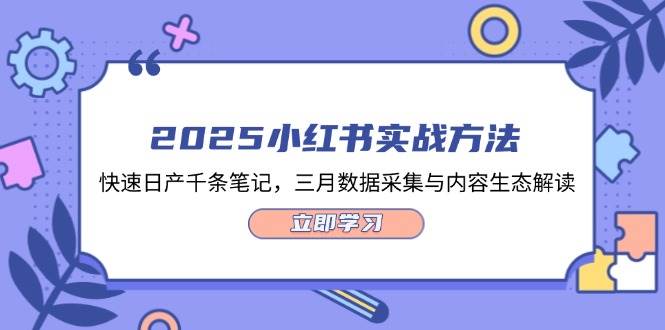 2025小红书实战方法，快速日产千条笔记，三月数据采集与内容生态解读-财源创业网