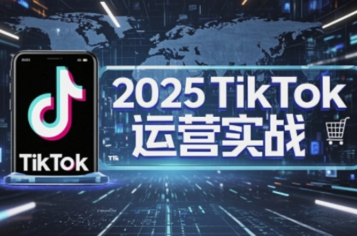 2025TikTok电商运营，掌握TikTok店铺运营核心技巧，实现低成本高转化-财源创业网