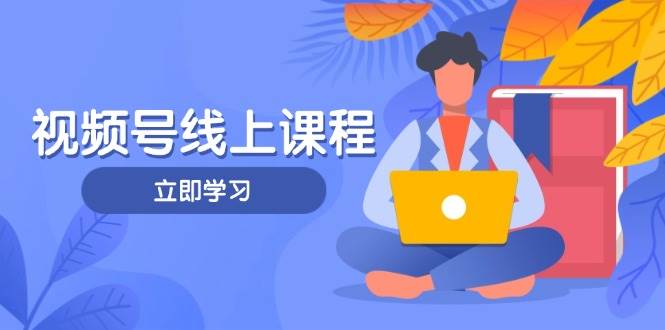 视频号实战课程，轻IP打造与运营技巧，掌握核心方法与策略-财源创业网