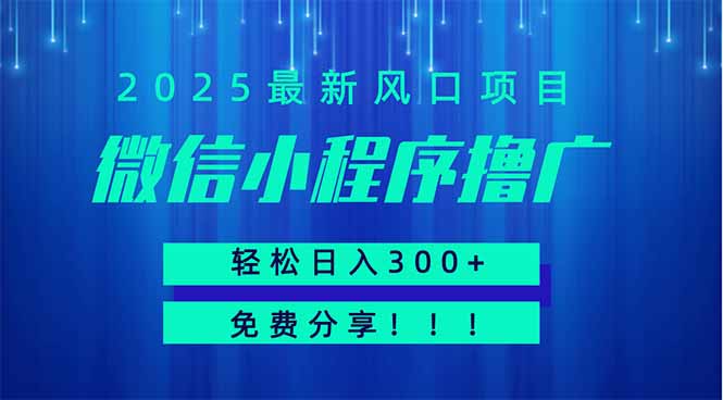 微信小程序撸广，最新风口项目，日入300+ 免费分享 可批量操作 小白可…-财源创业网