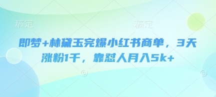 即梦+林黛玉完爆小红书商单，3天涨粉1千，靠怼人月入5k+-财源创业网