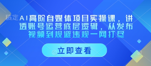 AI高阶自媒体项目实操课，讲透账号运营底层逻辑，从发布视频到规避违规一网打尽-财源创业网