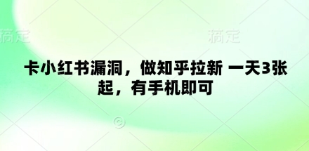卡小红书漏洞，做知乎拉新 一天3张起，有手机即可-财源创业网