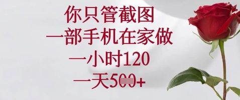 你只管截图，一部手机在家做，苹果安卓都可以，一小时120，一天5张+【揭秘】-财源创业网