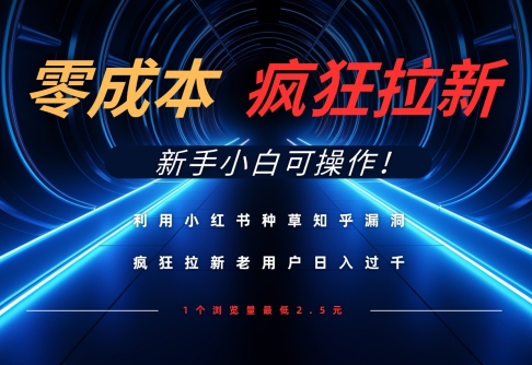 利用小红书种草知乎漏洞，零成本疯狂拉新日入数张，新手小白可操作-财源创业网