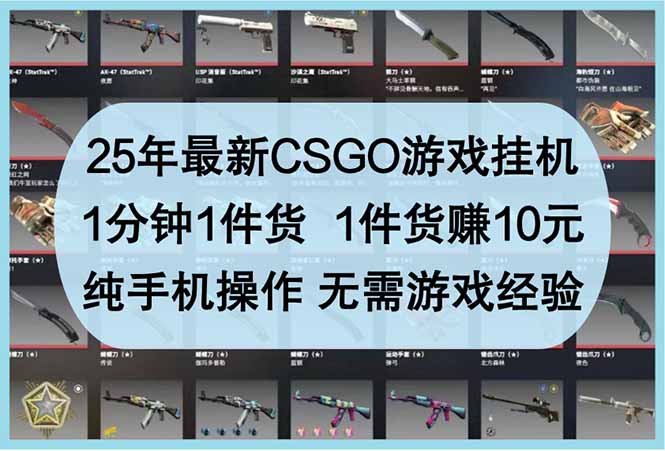 25年最新CSGO游戏挂机，1分钟1件货，1件货赚10元 纯手机操作 无需游戏经验-财源创业网