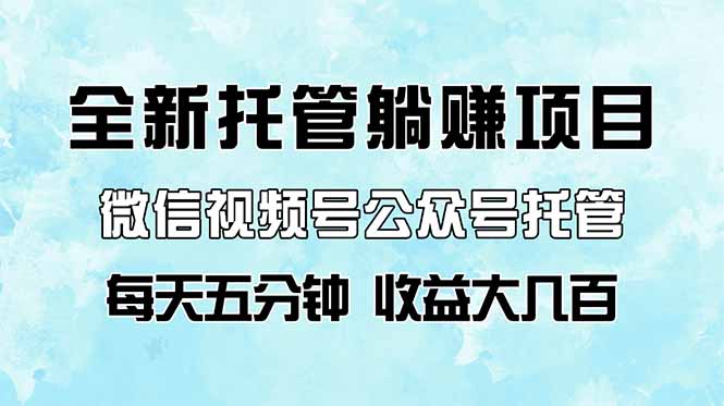 全新托管躺赚项目，微信视频号公众号托管代运营，每天五分钟，收益大几百-财源创业网