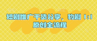 短剧推广干货分享，豹剧 1:1原创全流程-财源创业网