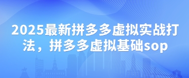 2025最新拼多多虚拟实战打法，拼多多虚拟基础sop-财源创业网