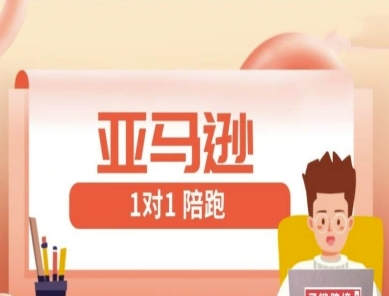 亚马逊1对1陪跑课(FBA/FBM精铺)跨境亚马逊教程-财源创业网