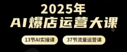 2025年AI爆店运营大课，13节AI实操课+37节流量运营课-财源创业网