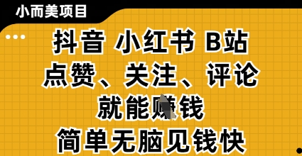 小而美的项目，抖音小红书B站视频点赞、关注、评论就能挣钱，简单无脑立见收益，妥妥的零撸项目【揭秘】-财源创业网