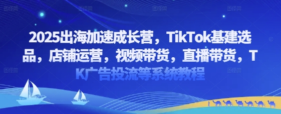 2025出海加速成长营，TikTok基建选品，店铺运营，视频带货，直播带货，TK广告投流等系统教程-财源创业网