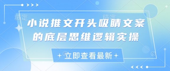 小说推文开头吸睛文案的底层思维逻辑实操-财源创业网