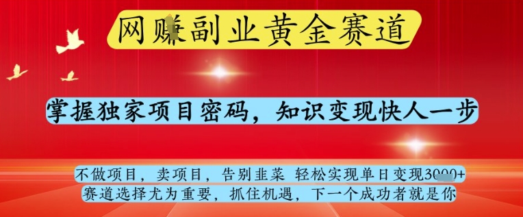 网创副业黄全赛道，掌握独家项目密码，知识变现快人一步，告别韭菜轻松实现单日变现1k+【揭秘】-财源创业网