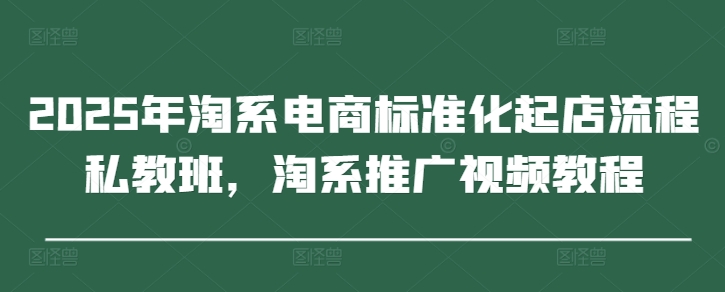 2025年淘系电商标准化起店流程私教班，淘系推广视频教程-财源创业网