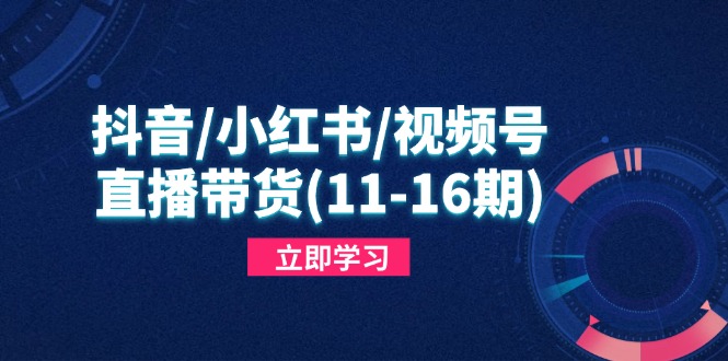 抖音/小红书/视频号/直播带货(11-16期-财源创业网