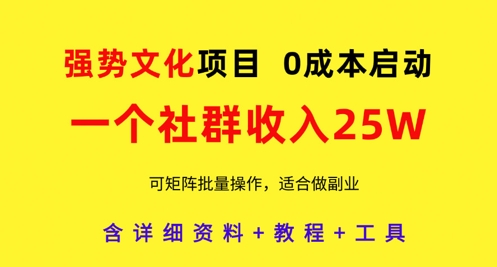 强势文化项目，一个社群收入25个W，0成本启动，可矩阵批量操作，原创详细实操教程-财源创业网
