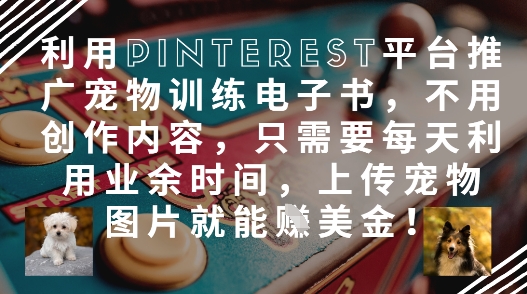 利用Pinterest平台推广宠物训练电子书，不用创作内容，只需要每天利用业余时间，上传宠物图片就能挣美金!-财源创业网