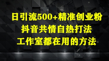 日引流500+精准创业粉，抖音共情自热打法，工作室都在用的方法-财源创业网