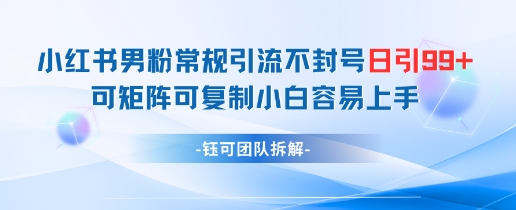 小红书男粉常规引流不封号日引99+变现简单 可矩阵可复制小白容易上手-财源创业网