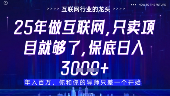 什么！25年你还在找项目做？风口早就变了，卖项目才是稳挣不赔【揭秘】-财源创业网