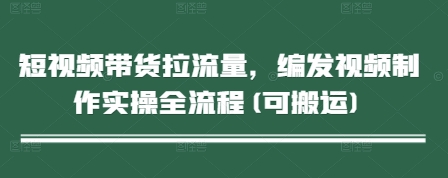 短视频带货拉流量，编发视频制作实操全流程(可搬运)-财源创业网
