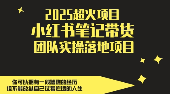 2025超火项目，副业最佳选择，小红书笔记带货团队实操落地项目，，轻松日入5张-财源创业网