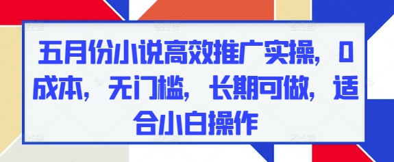 五月份小说高效推广实操，0成本，无门槛，长期可做，适合小白操作-财源创业网
