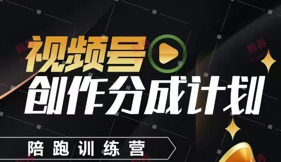 视频号创作分成计划陪跑训练营，手把手教会你如何制作视频，细水长流型项目-财源创业网