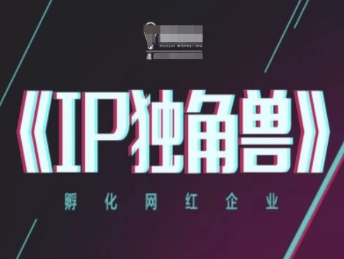 IP独角兽，孵化网红企业，ip教程-财源创业网