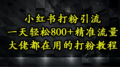 小红书打粉引流，一天轻松500+精准流量，大佬都在用的打粉教程-财源创业网