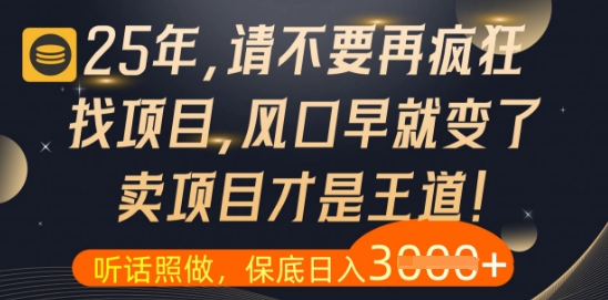 什么？25年你还在疯狂找项目做，醒醒吧，看完这些你全都懂了【揭秘】-财源创业网
