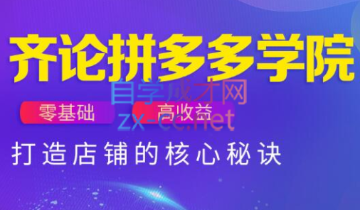 齐论拼多多vip课程-财源创业网